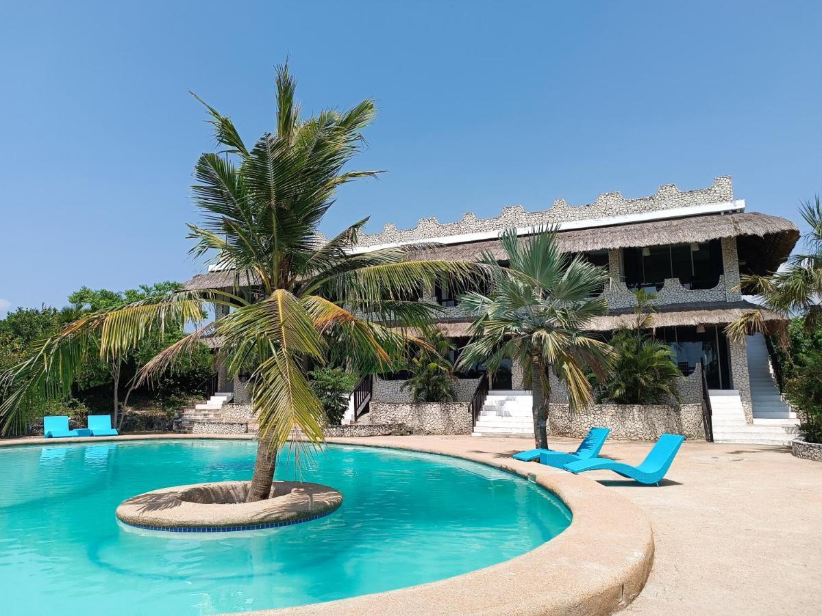 The Wild Orchid - Moalboal