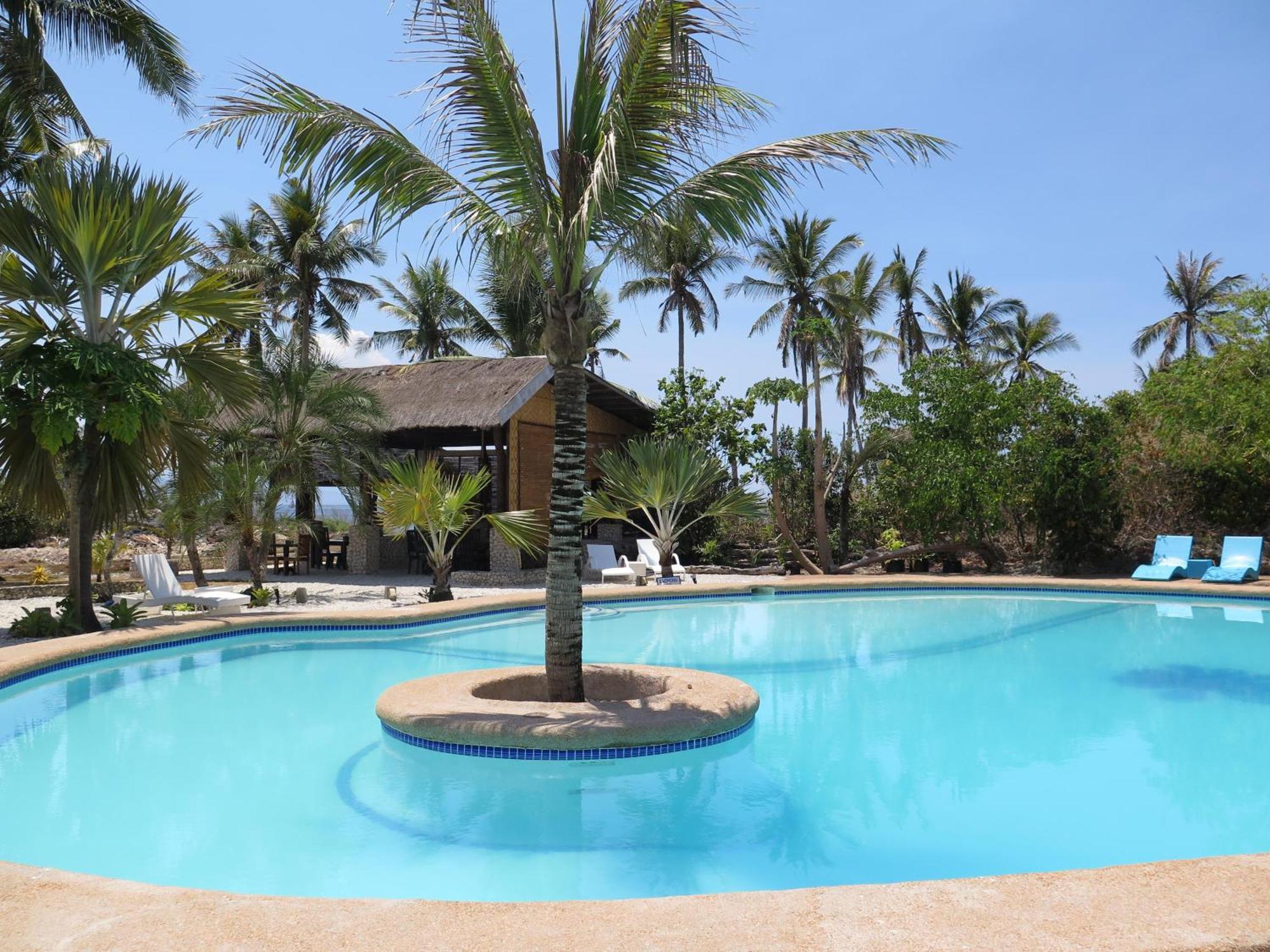 The Wild Orchid - Moalboal